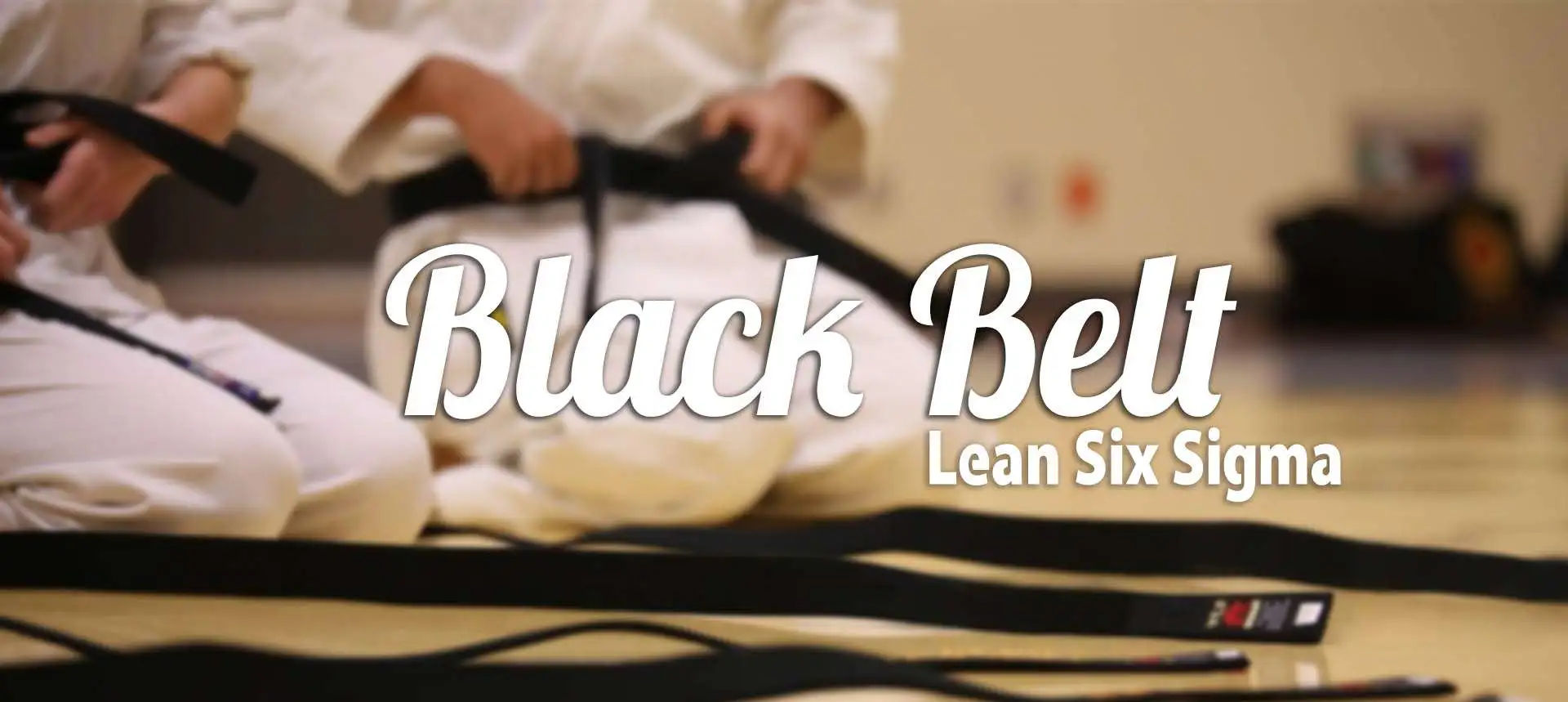 Black Belt Lean Six Sigma
